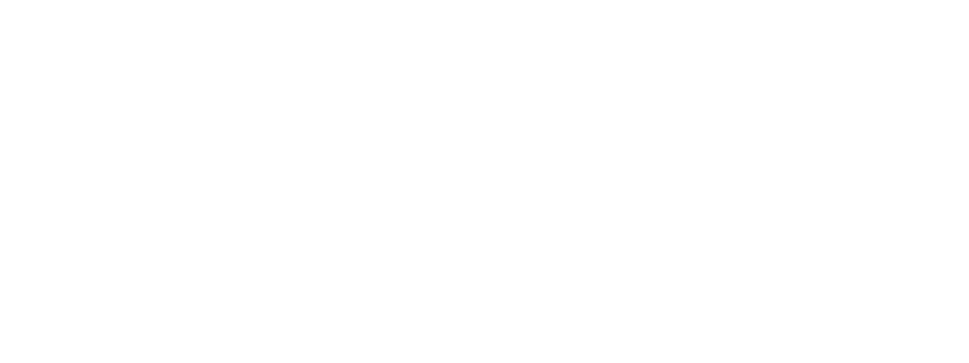 White logo - no background